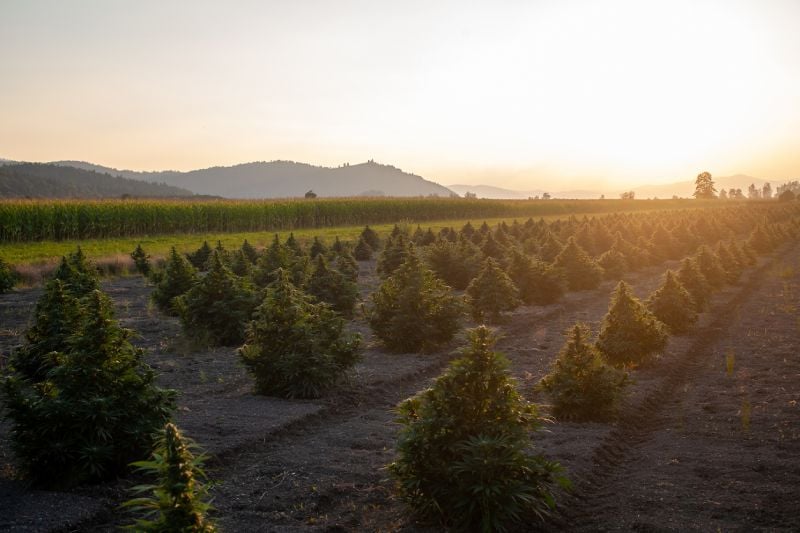 The Clean Air Act: Cleaner and Healthier Air The Clean Air Act: Cleaner and Healthier Air